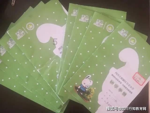 你给宠物买的最没用的东西是什么？ ​​​游戏画面